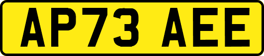 AP73AEE