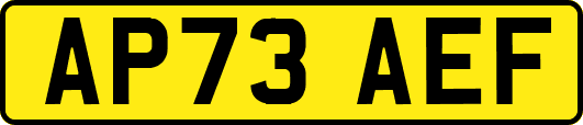 AP73AEF