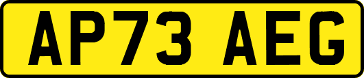 AP73AEG