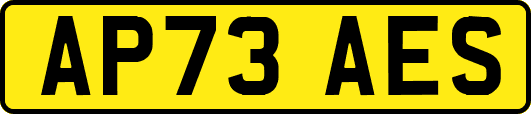AP73AES