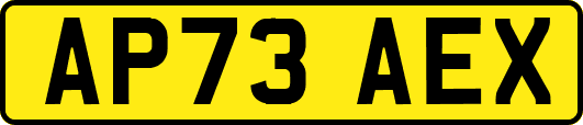 AP73AEX