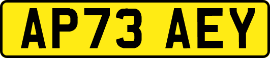 AP73AEY