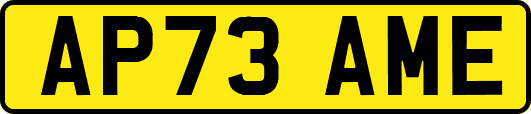 AP73AME