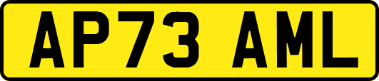 AP73AML