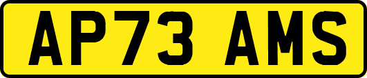 AP73AMS