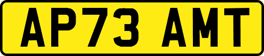 AP73AMT