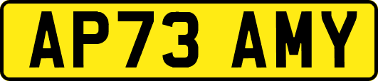 AP73AMY