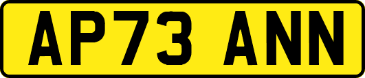 AP73ANN