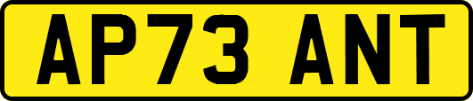AP73ANT