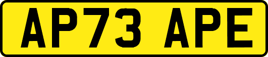 AP73APE