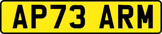 AP73ARM