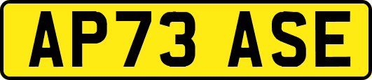 AP73ASE