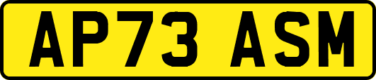 AP73ASM