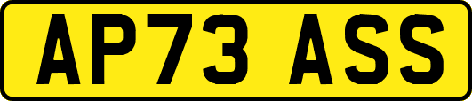 AP73ASS