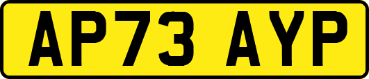 AP73AYP
