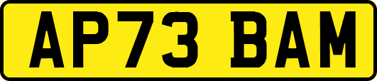 AP73BAM