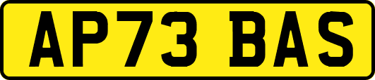 AP73BAS