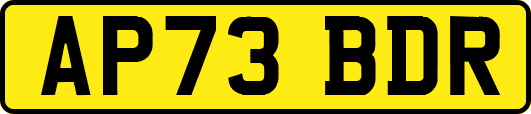 AP73BDR