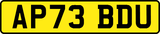 AP73BDU