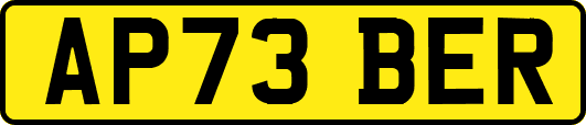 AP73BER
