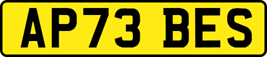 AP73BES
