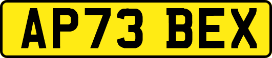 AP73BEX