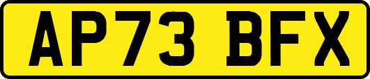 AP73BFX