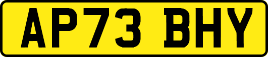 AP73BHY