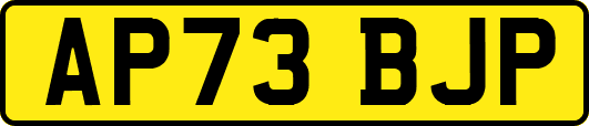 AP73BJP