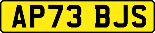 AP73BJS