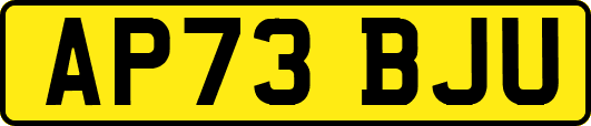 AP73BJU