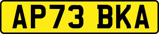 AP73BKA