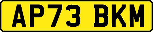 AP73BKM