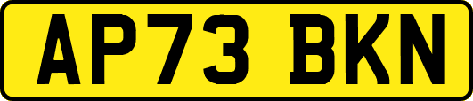 AP73BKN