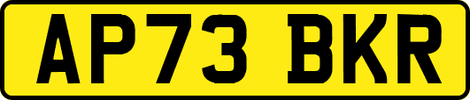 AP73BKR