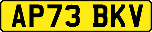 AP73BKV