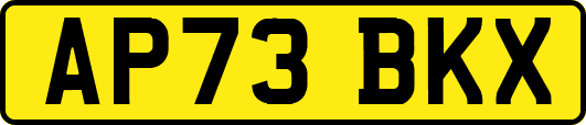 AP73BKX