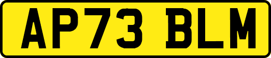 AP73BLM
