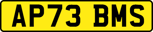 AP73BMS