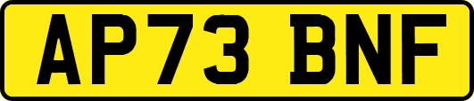AP73BNF