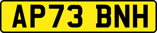AP73BNH