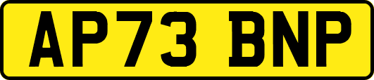 AP73BNP
