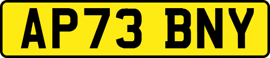 AP73BNY