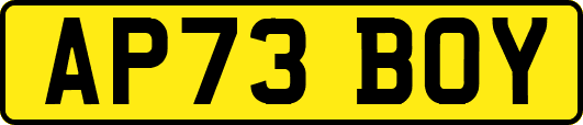 AP73BOY