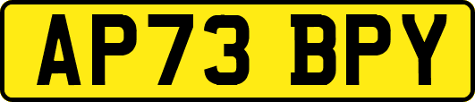 AP73BPY