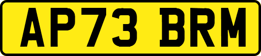 AP73BRM