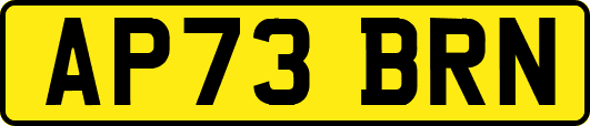 AP73BRN