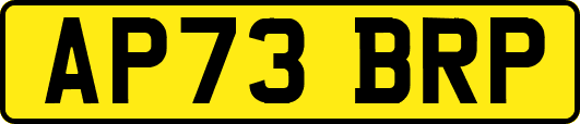 AP73BRP