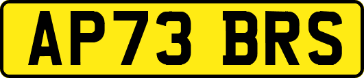 AP73BRS