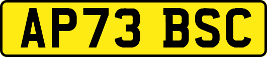 AP73BSC